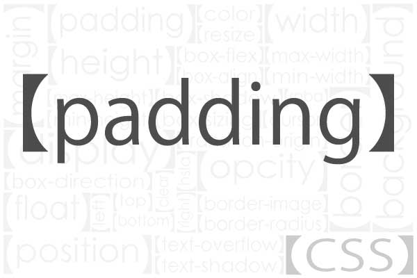 paddingについて