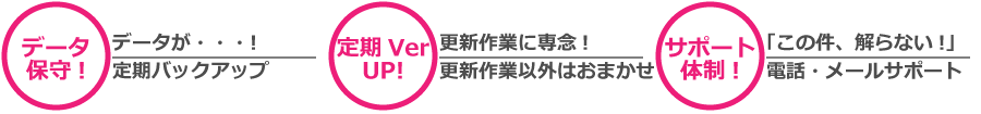 定期バックアップ、定期バージョンアップ、電話、メールサポート